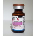 10 Actavis Cypionate 10mls